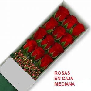 Envio y venta de flores ,rosas, plantas,arreglos florales ,regalos y desayunos a domicilio con delivery gratis en la Ciudad Autonoma de Buenos Aires y con costo de envo en localidades del Gran Buenos Aires asi como delivery de flores y plantas a travs de florerias asociadas en todas las provincias de la Argentina, Buenos Aires, la Pampa, Tucuman, La Rioja, Ro Negro, Entre Rios, Corrientes, Misiones, Neuquen, Chubut, Tierra del Fuego, Santa Cruz, San Luis, Mendoza, Cordoba, Jujuy, Formosa, Santiago del Estero, Salta, Chaco, Catamarca ,San Juan, y ademas realizamos el delivery de flores ,coronas,palmas , plantas y regalos a todas las ciudades de Argentina, Mar del Plata, Crdoba, Buenos Aires, con cargo en Santa Rosa, La Plata, Bella Vista, Neuquen, Pilar, Paran, Posadas, Resistencia, Cipolleti y mas de 300 ciudades y localidades en todo el territorio de nuestro pas, asi como tambien tenemos la posibilidad de enviar flores a casi todo el mundo en cuestion de horas